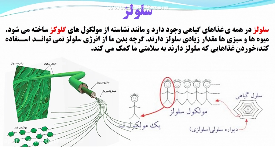 علوم تجربی پایه هفتم فصل 12