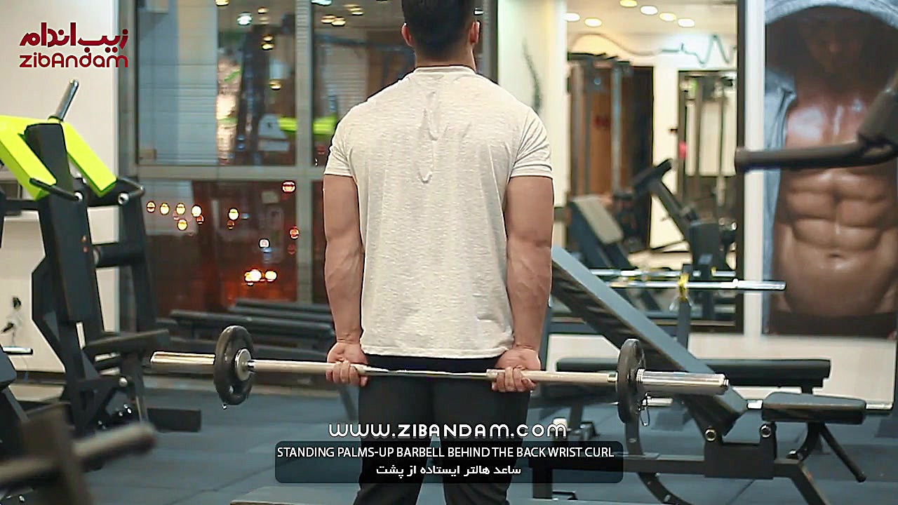 حرکات تمرینی بدنسازی  ساعد هال...