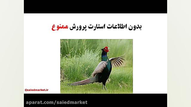 آموزش پرورش قرقاول