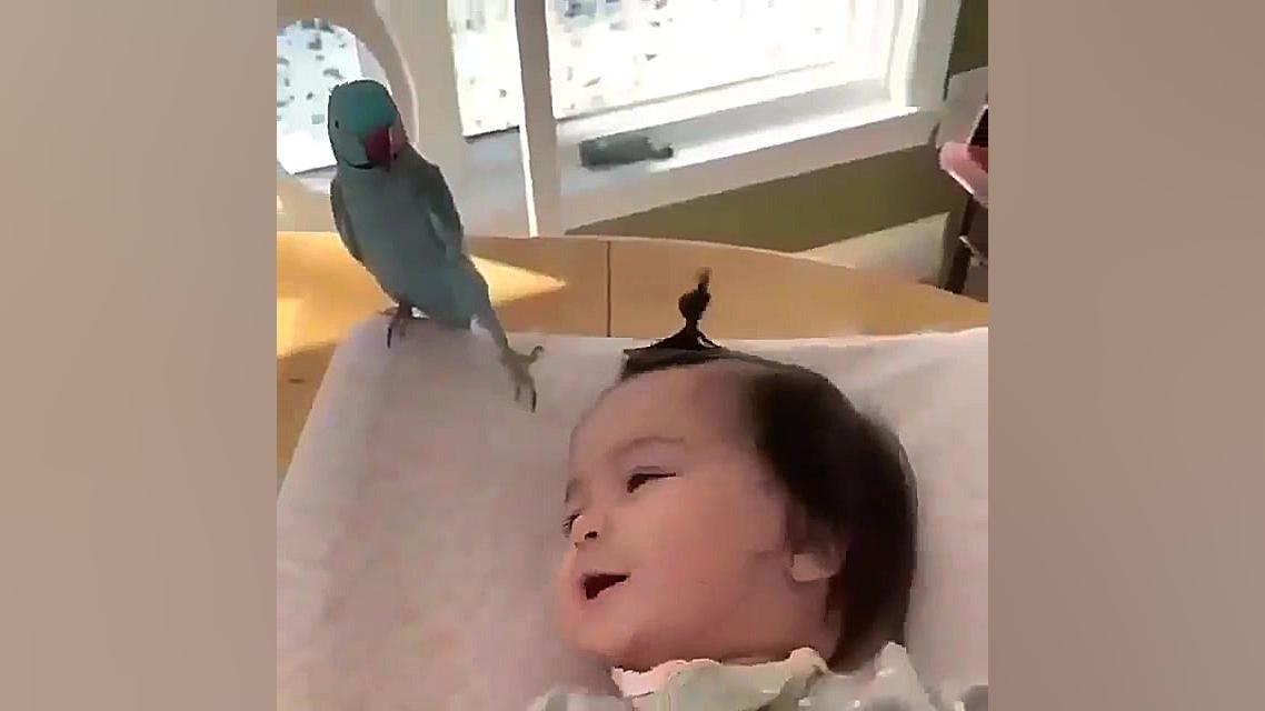 بازی کردن جذاب کودک و طوطی