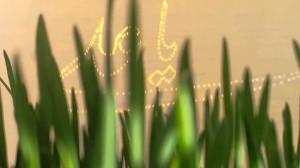 کلیپ تبریک ولادت حضرت علی (ع)