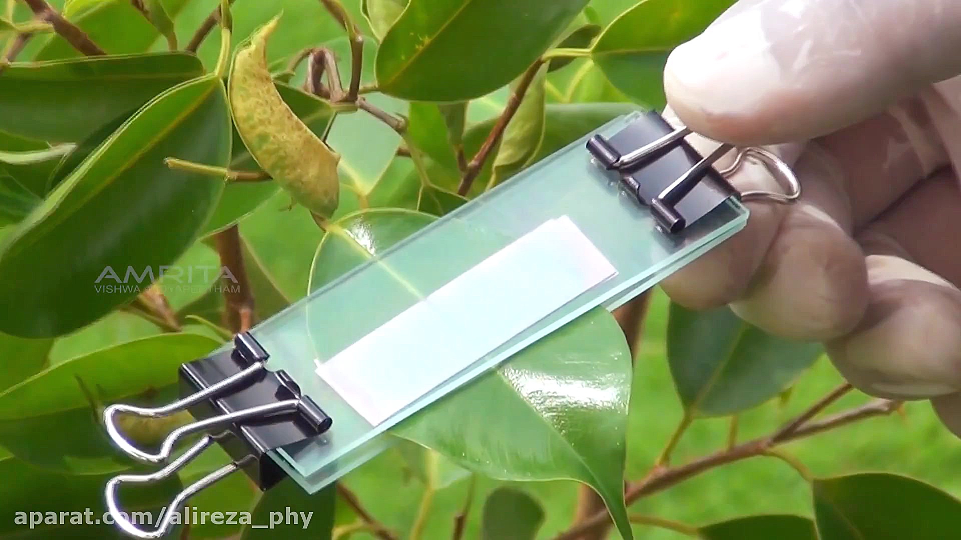 علوم نهم، فصل 12، بخش اول