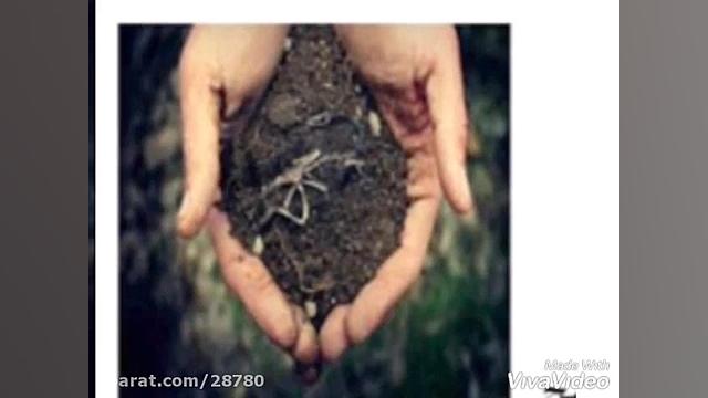 علوم کلاس پنجم ابتدایی  فصل 10