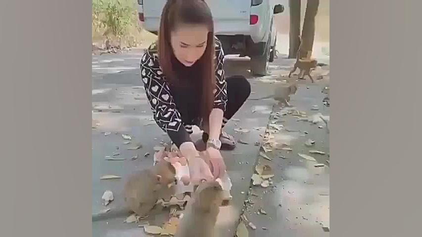 تخم مرغ دادن ب میمون ها