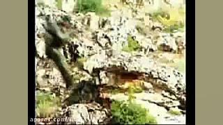 نگاهی به قدرت نظامی و موشکی حز...