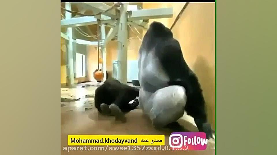 تاثیر کرونا در روابط زناشویی