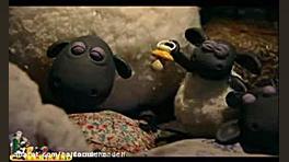 بره ناقلا جدید