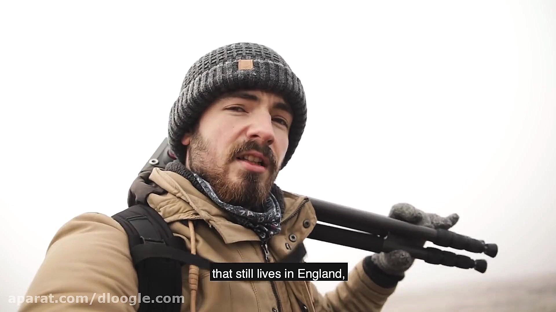 تهیه مستند از خرگوش های کوهستا...