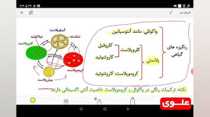 علوی | زیست دهم  فصل ششم  گفتا...