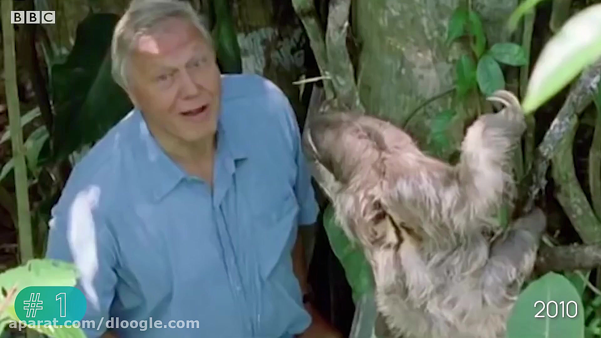 لحظاتی زیبا و حیرت انگیز از زن...