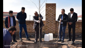 شرکت آلاکس ایران در روز درختکا...