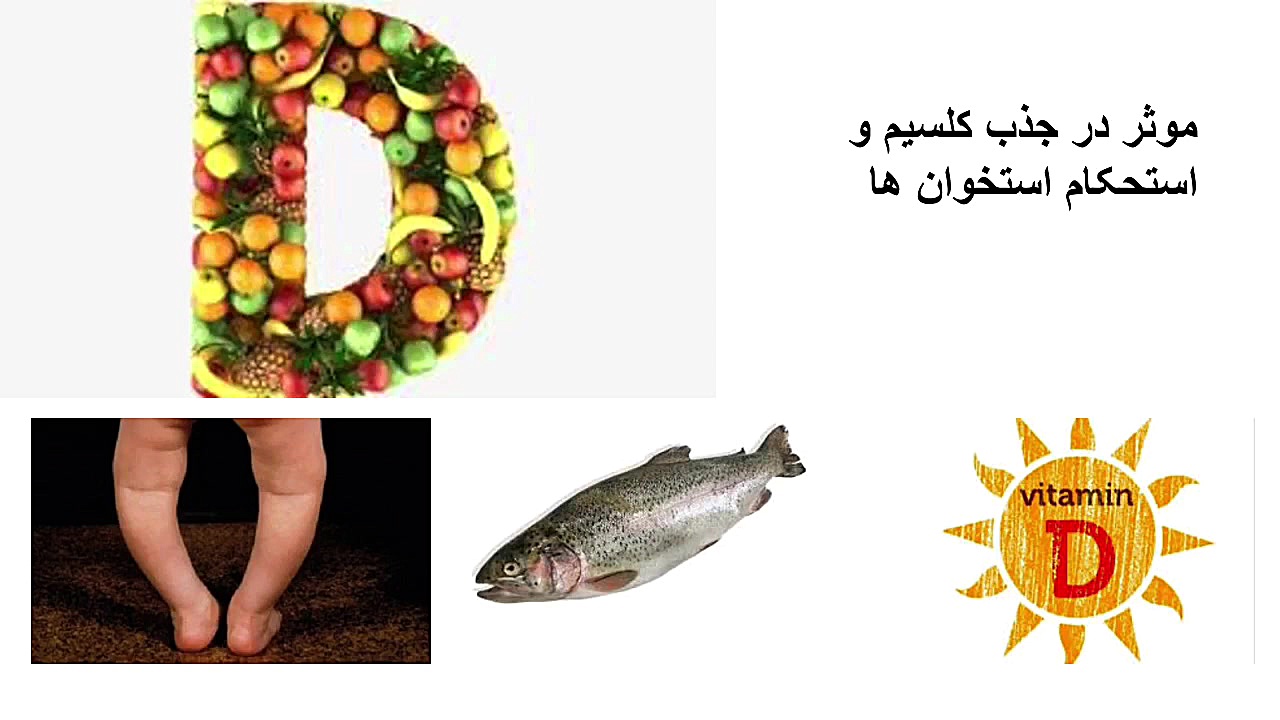 تدریس فصل ۱۲علوم هفتم سفره سلا...