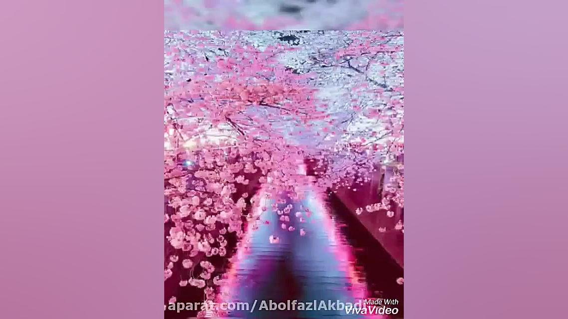 کلیپ جدید و کوتاه تبریک روز پد...