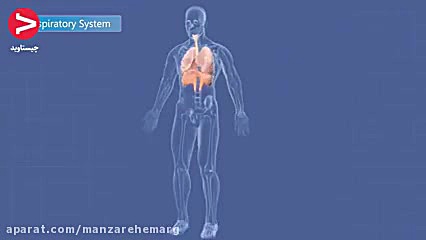 عملکرد ویروس کرونا