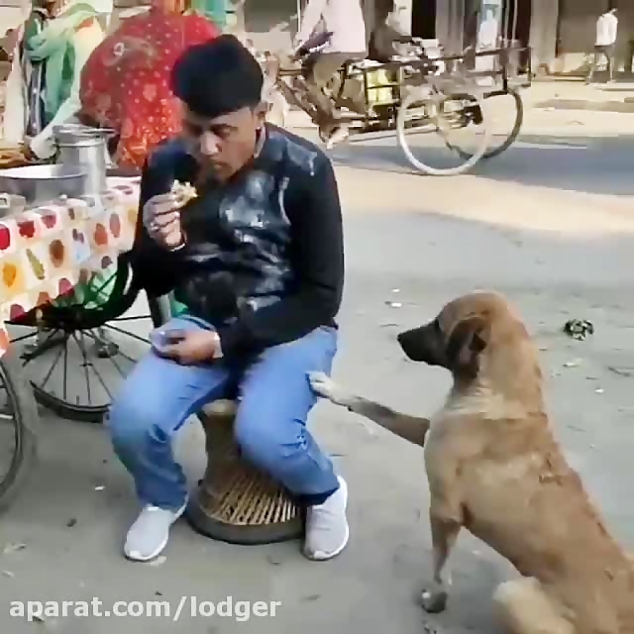 مهربانی هست :x