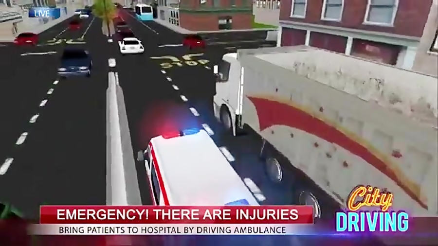 City Driving 3D  PRO