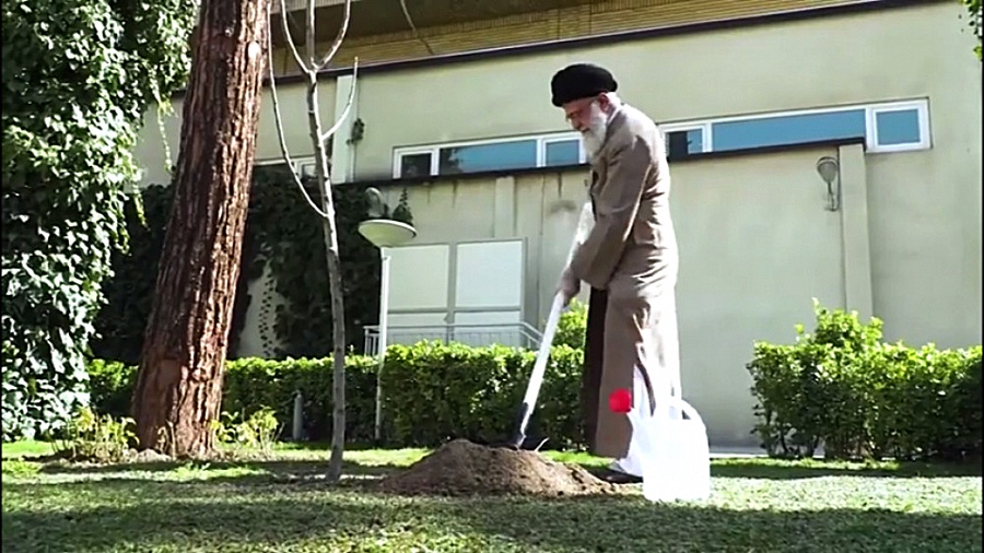 کاشت دو نهال توسط رهبر انقلاب...