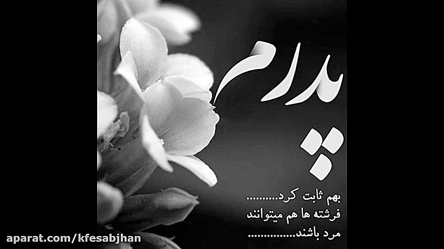 کلیپ فوق العاده زیبا به مناسبت...