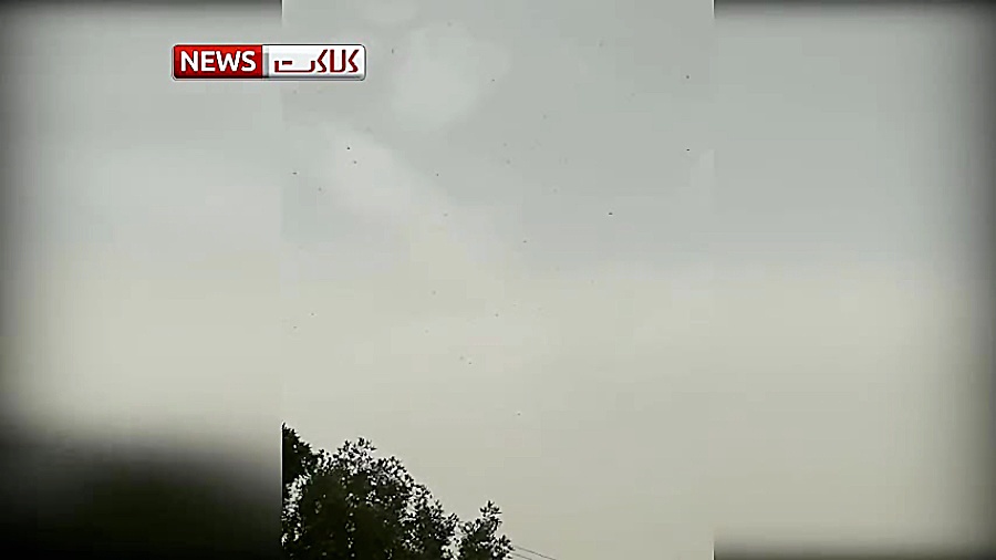 هجوم اولین دسته ملخ های مهاجم...