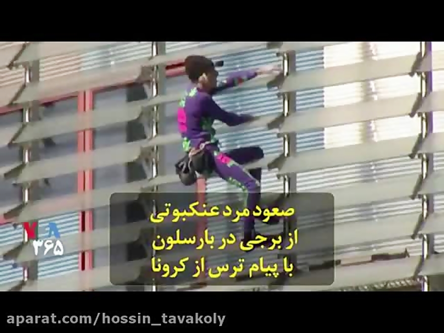 مرد عنکبوتی واقعی