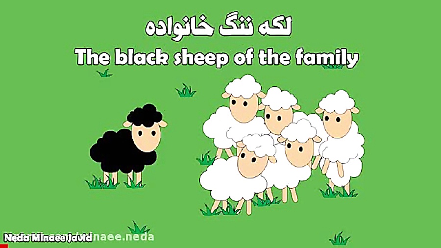 The black sheep of the family
