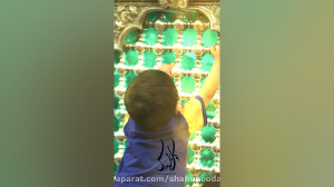 استوری میلاد امام جواد علیه ال...