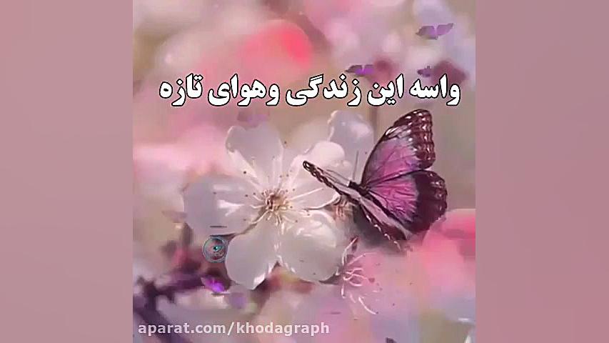 تا تو را دارم تا تورا دارم