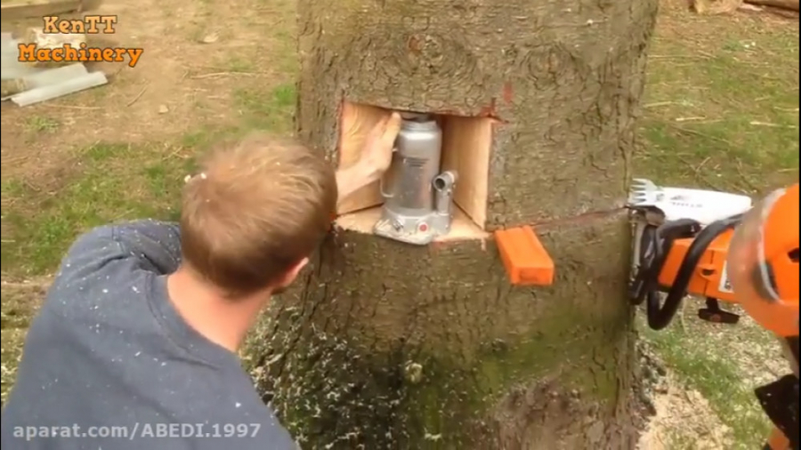 قطع کردن درخت جالب ته خنده و ز...