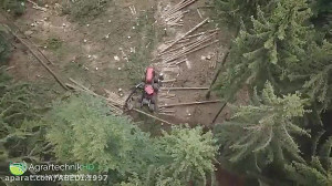 حمل نقل درخت تریلی زیبا بیل فو...