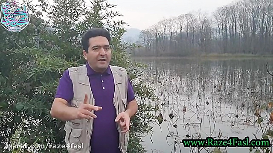 چگونه با رضایتمندی از شرایط کن...