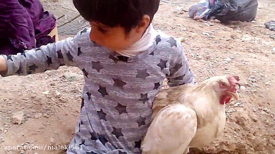 پیشگیری از انتقال کرونا ویروس...