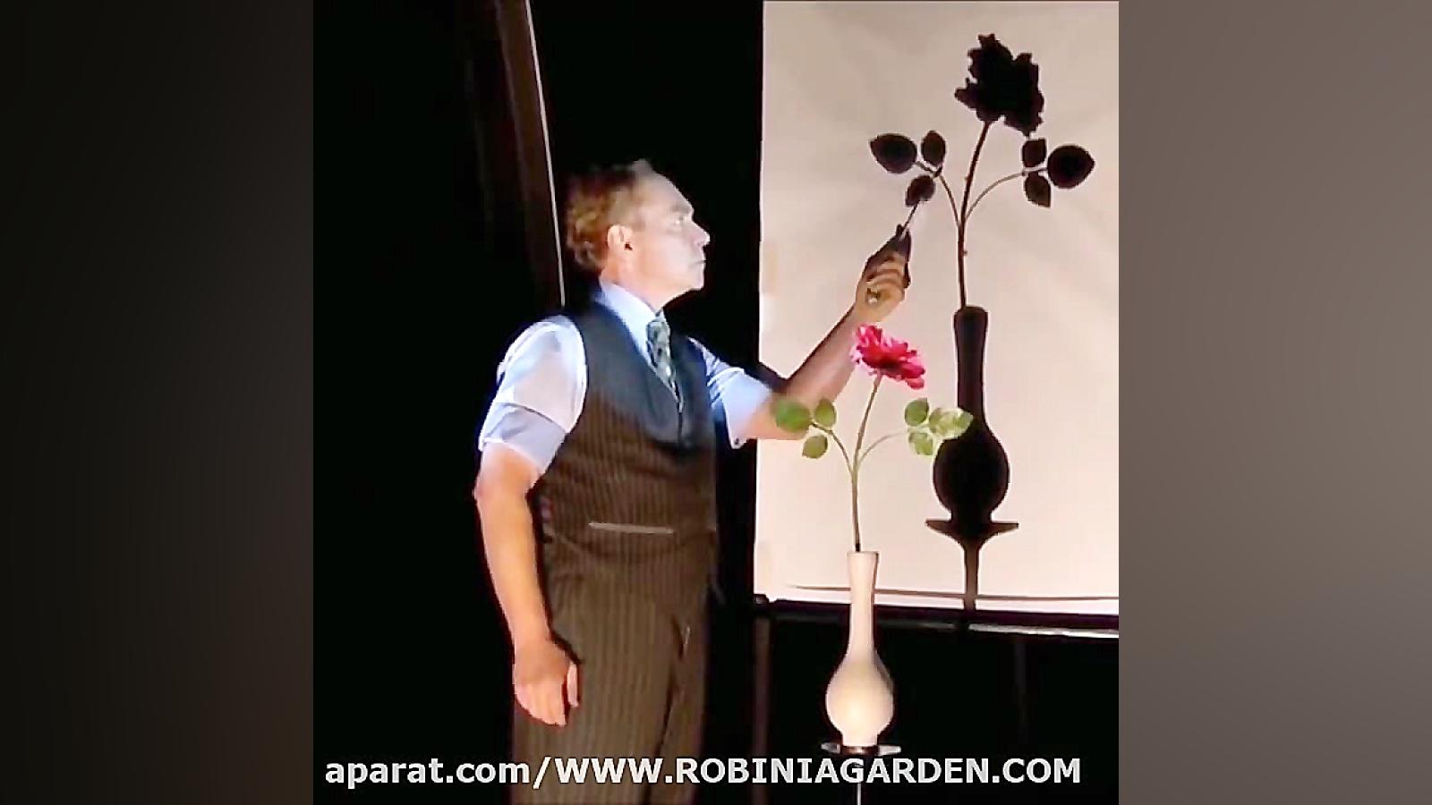 یک شعبده بازی جذاب و زیبا