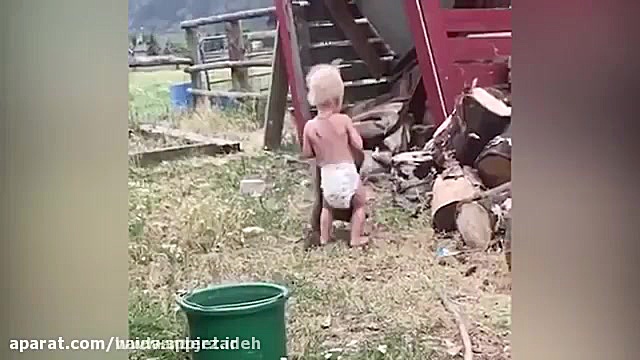 کلیپ خنده دار حیوانات