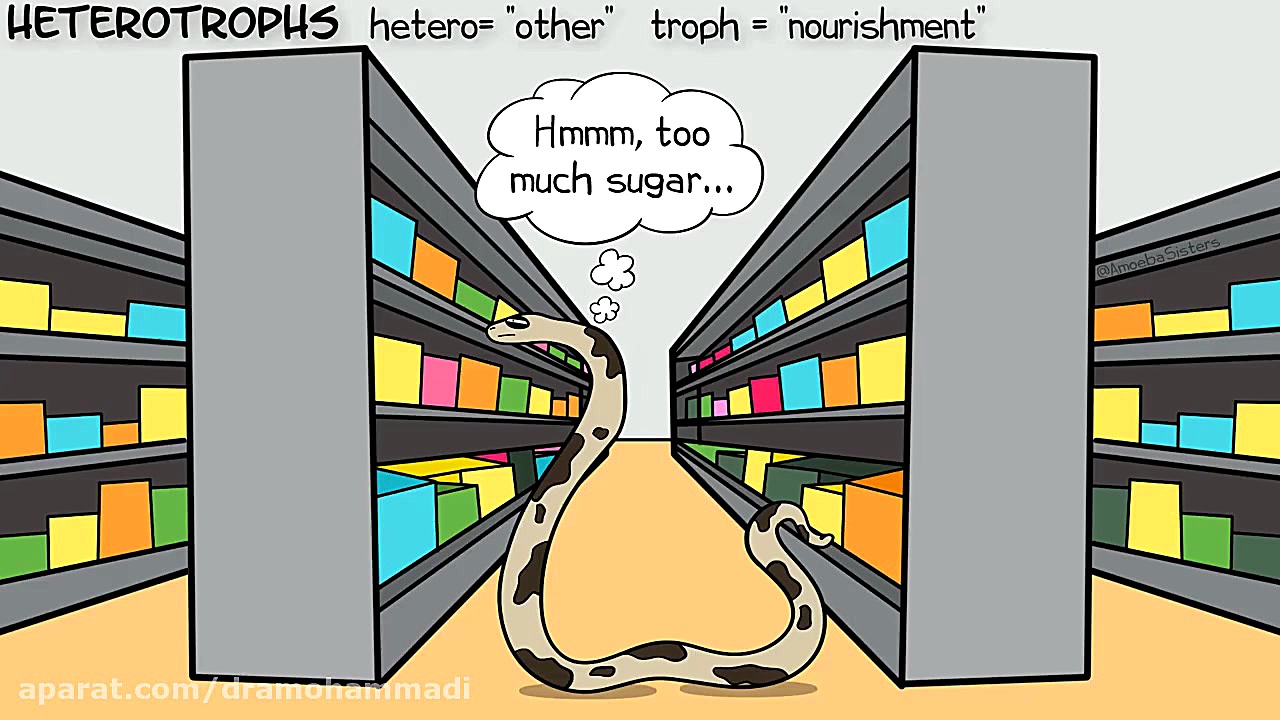 هتروتروفی، اتوتروفی و منایع تغ...