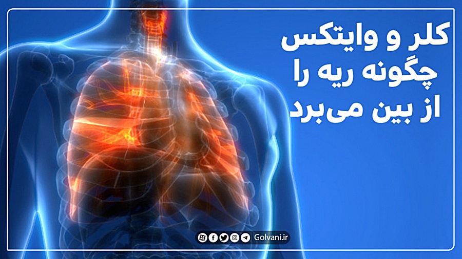 کلر و وایتکس چگونه ریه را از ب...