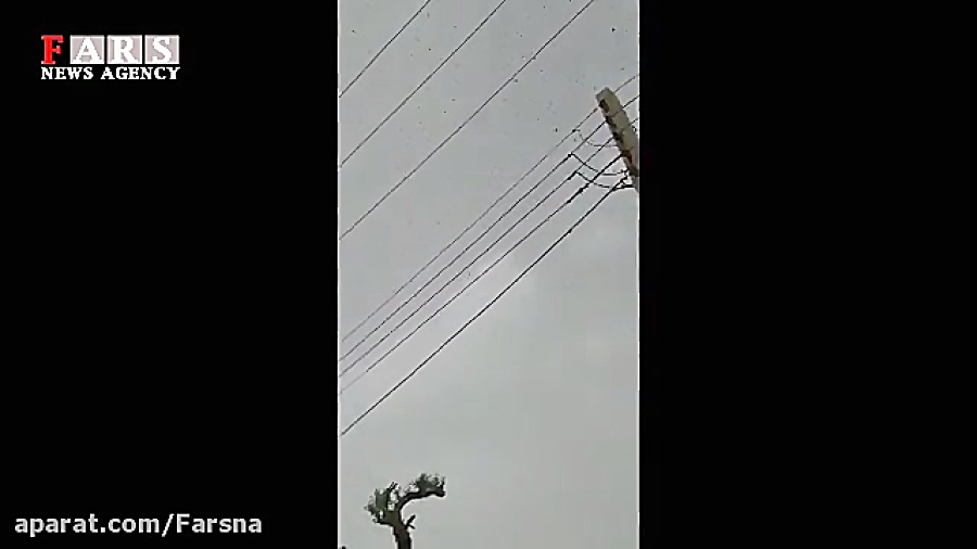 حمله ملخ&zwnj;ها به آبادان در...