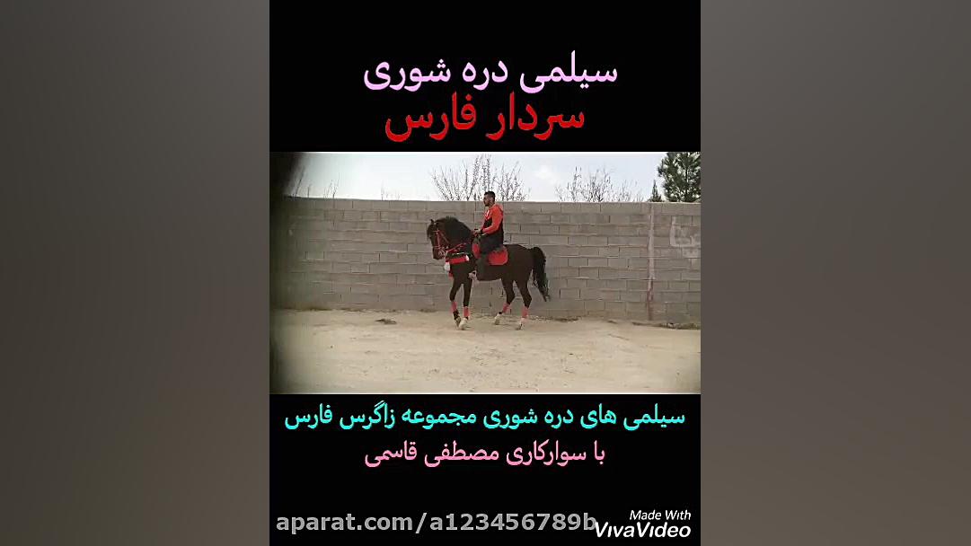 سیلمی های دره شوری ( بیستون )...
