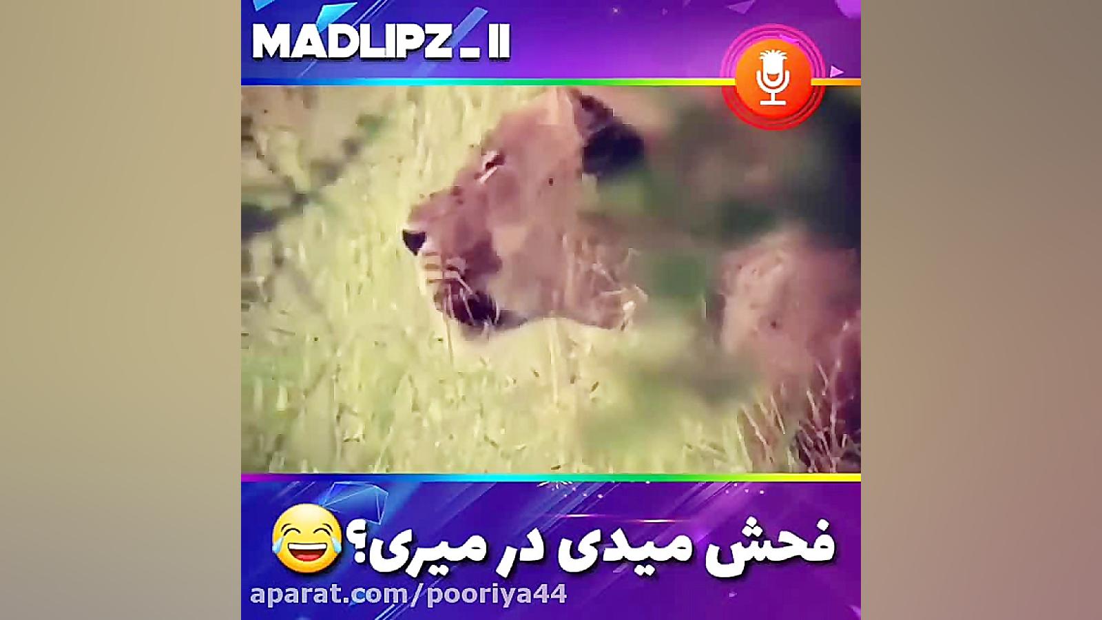  فحش میدی در میری