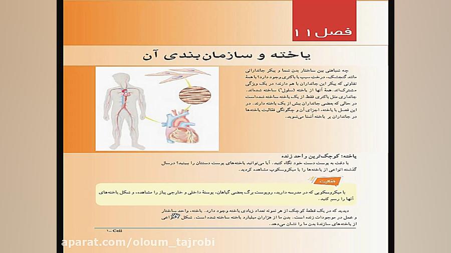 فصل یازدهم علوم هفتم  یاخته و...
