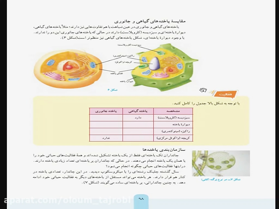 فصل یازدهم علوم هفتم  یاخته و...