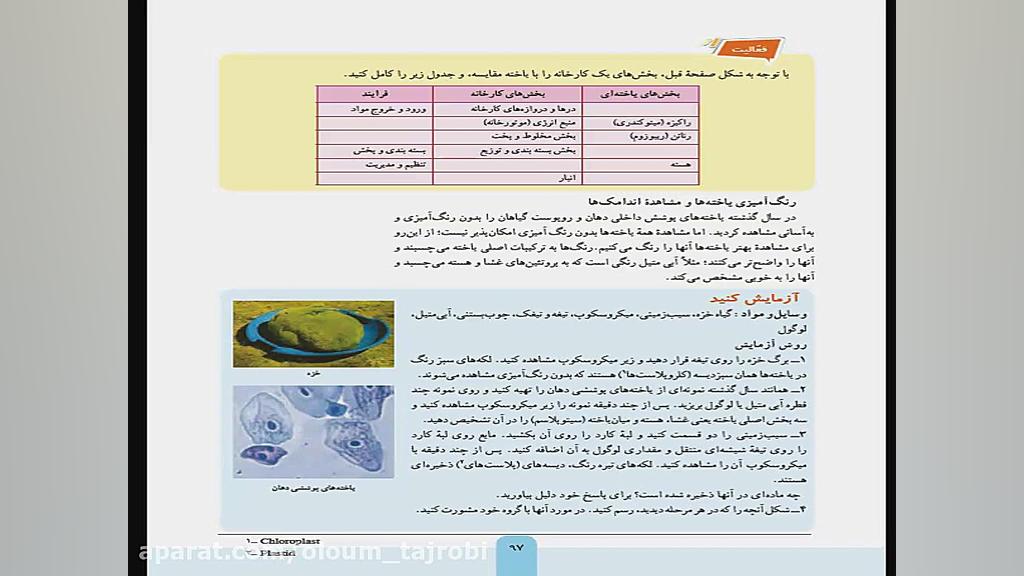 فصل یازدهم علوم هفتم  یاخته و...