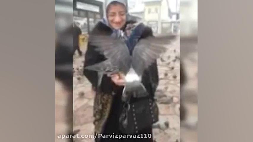 توران قنبرى دختر حسن بابو.قروه...