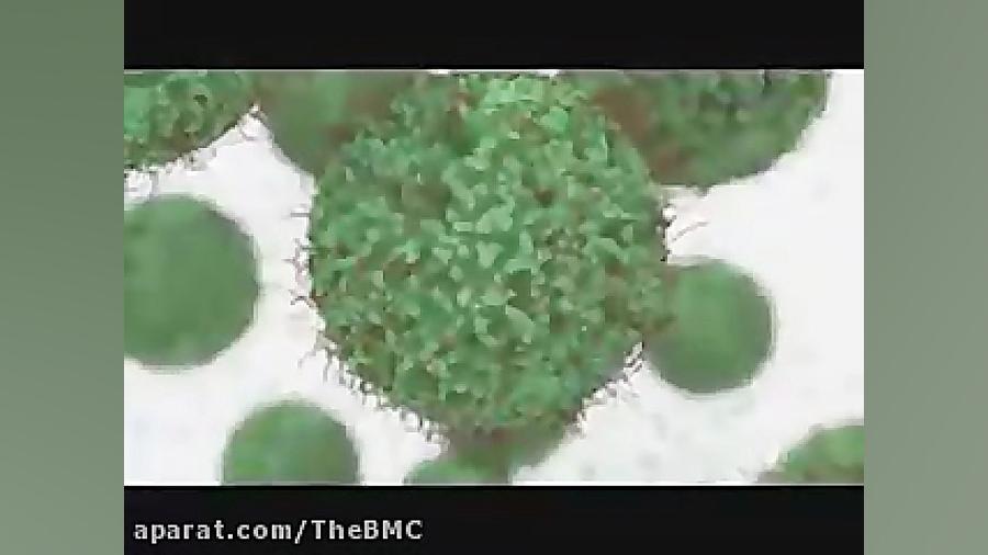 روش ناسا برای مبارزه با ویروس...