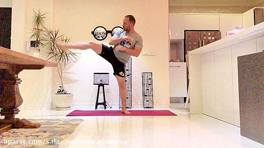 تمرین در منزل  سالار حیاط شاهی
