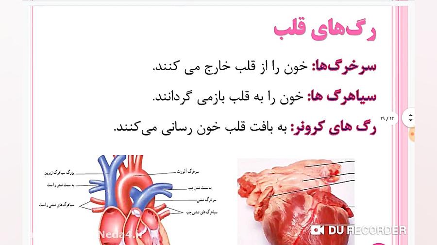 علوم پایه هفتم تدریس جلسه دوم...