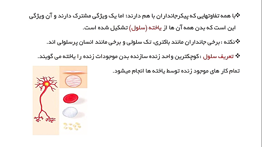 علوم پایه هفتم  فصل یازدهم  یا...