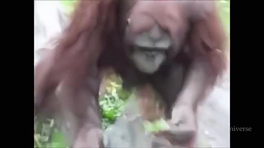 صحنه هاي عجيب و باورنكردني از...