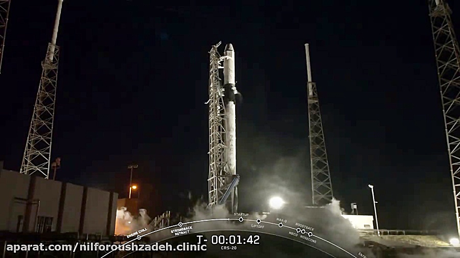 چرا دانشمندان امریکایی سلولهای...