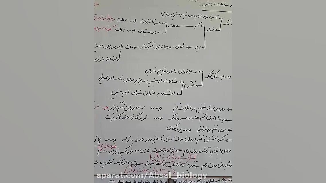 زیست شناسی۲  تغذیه و حفاظت جنی...