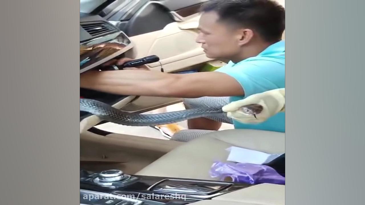 نبرد بسیار ترسناک هزارپا ی غول...